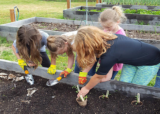 Children working in the Garden